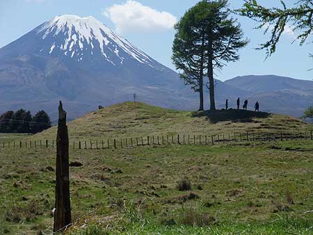 Disc Golf New Zealand